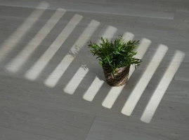 Межкомнатные двери